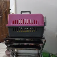 باکس سگ