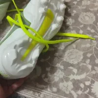 استوک