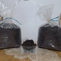 چای ایرانی لاهیجان