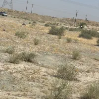 زمین-بعد-از-پل-تا-بعد-از-رگاب