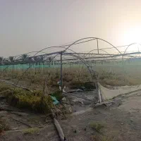 فروش-اسکلت-گلخانه