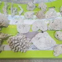 سنگ یا صخره اکواریوم