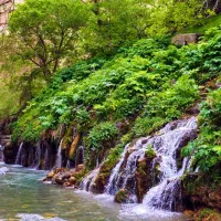 هدیه تور