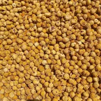 انجیر تازه استهبان