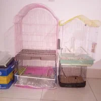 قفس وعروس هلندی