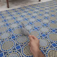 عروس هلندی، ماده، رام و دستی|پرنده|تهران, شهرآرا|دیوار