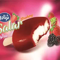 استخدام فروشنده تلفنی(پشتیبان فروش)باحقوق بالا