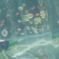 لطفاً توضیحات به خونید