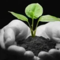 ترک اعتیاد به هر گونه مواد صد در صد تضمینی