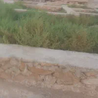 زمین دونه محرومین پی زده بهترین گزینه برای سرمایه