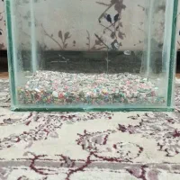 شیشه اکواریوم با شن