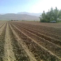فروش-زمین-کشاورزی-r2-هفت-هکتاری