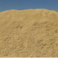 کاه گلرنگ در جهرم