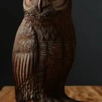 فروش جغد  شاخ دار