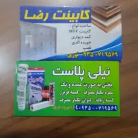 نیلی پلاستیک