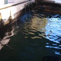رهن و اجاره سالن ، کارگاه و حیاط