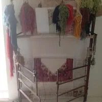 این دارباقالی با همه ابزارش