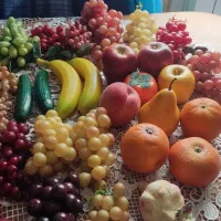میوه های مصنوعی خارجی