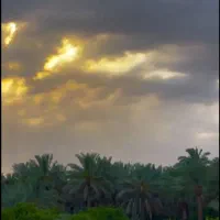 فروش-زمین-باغی