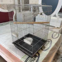 قفس سایز بزرگ کاسکویی ملنگو عروس گرینچیک و...