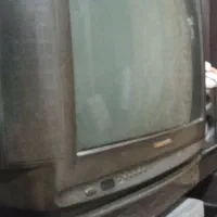 تلوزیون