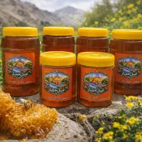 عسل کوهستان