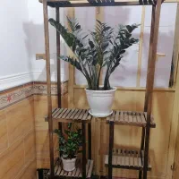 استند گل و گالسکه بازی بچه