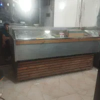 یخچال  بنماری  ماهی و جونه
