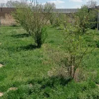 باغچه-فروشی