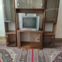 زیر تلویزیونی