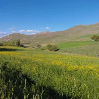 یک قطعه زمین مسکونی قلعه خ باغچه مریم
