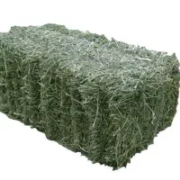 فروش علف خشه