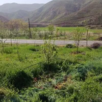 باغ فروشی حدود۵۰۰۰متر،حاشیه آسفالت/تهاتر