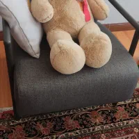 4عددخرسرو یک عدد سگ