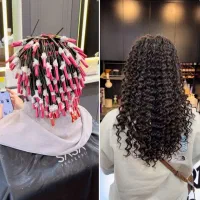 فر دائم، رایگان