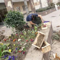 باغبانی وهرسکاری سرویس به کل تهران وحومه