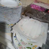 سرویس غذا خوری طرح آرکوپال چینی زرین