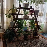 استند گل|گل و گیاه طبیعی|لنجان, |دیوار