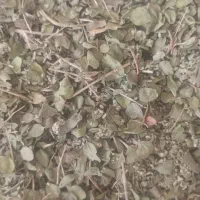 آویشن کوهی وکلپوره