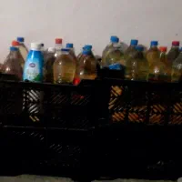 خروس