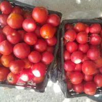 کیلو ۳۰ هزارتومان