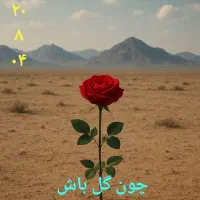 جایزه پول