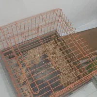 قفس خرگوش و جوندگان