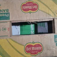 کارتن موزی کاملا سالم