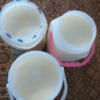 ماست چکیده محلی