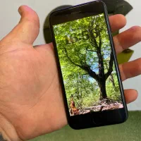 iPhone Se 2020|موبایل|کیاسر, |دیوار