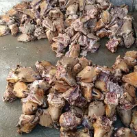 کدو گوسفندی مناسب نذری