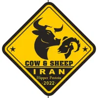 قصاب حرفه ای و مرغ خورد کن