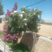خانه ویلایی در دو طبقه قابل سکونت  چهار راه فرهنگ