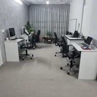 استخدام نیرو مسلط به کامپیوتر و سایت